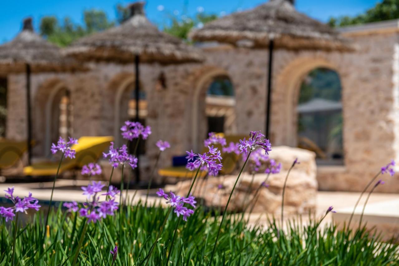 Bed and Breakfast Absolu Beldi Esauira Exterior foto